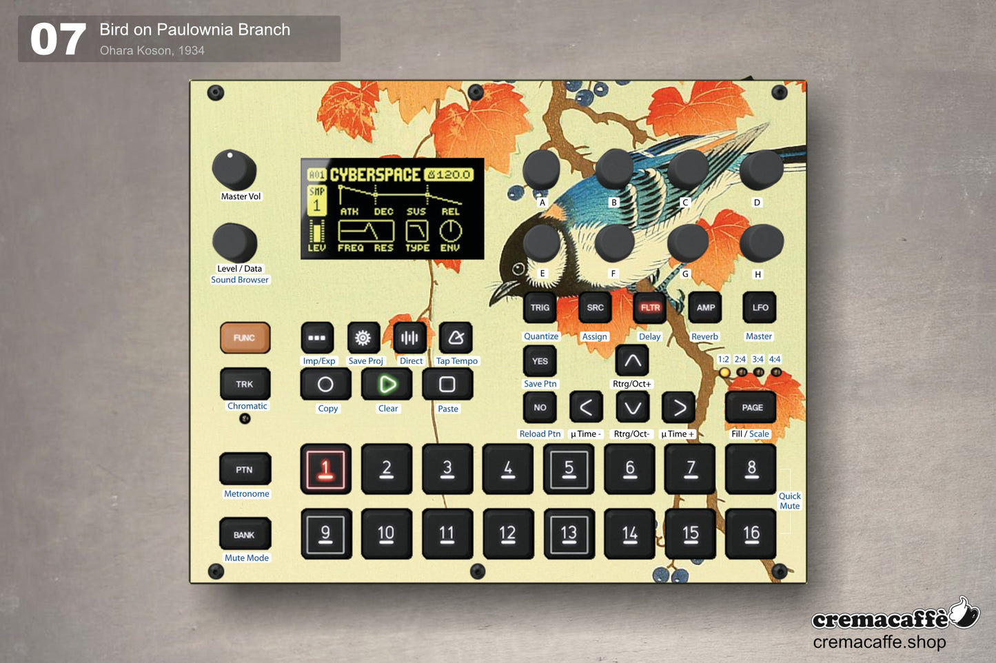 Digitakt Vinyl Skins