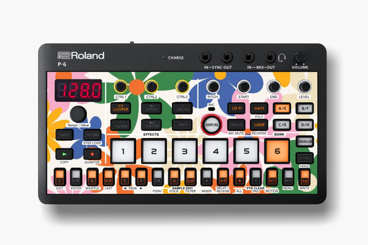 Roland P-6 Accessories